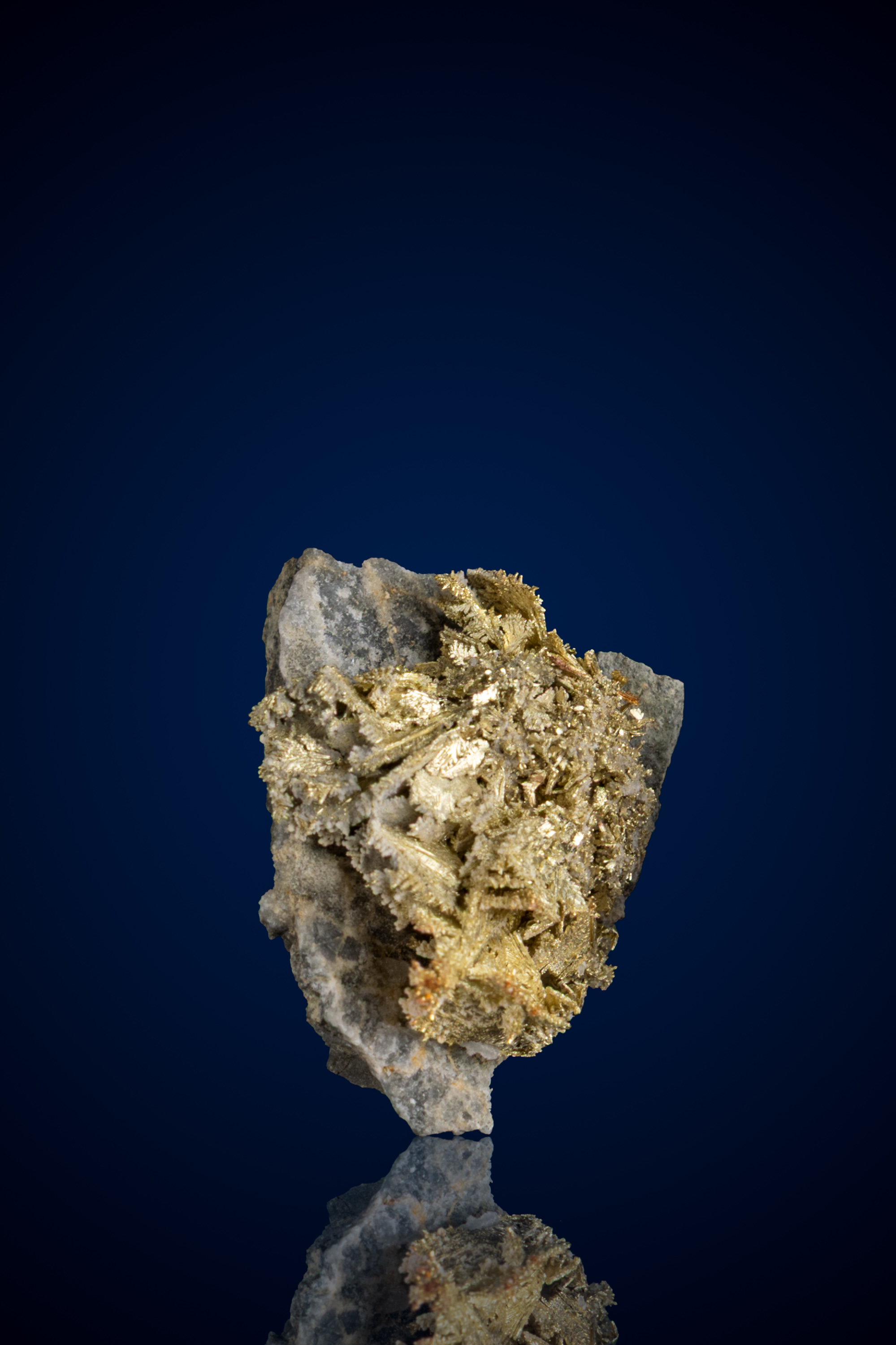 Gorgeous, Dendritic Leaf Gold on Shale Rock - Firecreek Mine, NV - 5.21 grams (image for) Gorgeous, Dendritic Leaf Gold on Shale Rock - Firecreek Mine, NV - 5.21 grams